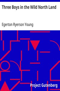 Cover of Three Boys in the Wild North Land