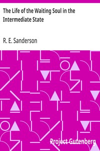 Cover of The Life of the Waiting Soul in the Intermediate State