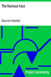 Cover of The Ruinous Face