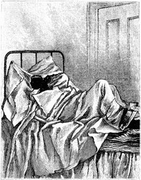 Cover of St. Nicholas Magazine for Boys and Girls, Vol. 5, July 1878, No. 9