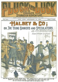 Cover of Halsey & Co. or, The Young Bankers and Speculators