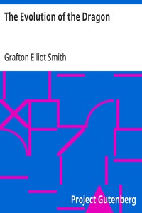 Cover of The Evolution of the Dragon