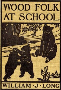 Cover of Wood folk at school