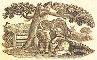 Cover of Harrison's New Nursery Picture Book