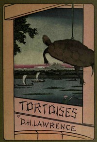 Cover of Tortoises