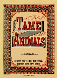 Cover of Tame Animals