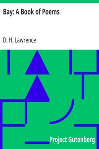 Cover of Bay: A Book of Poems