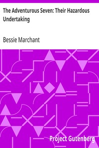 Cover of The Adventurous Seven: Their Hazardous Undertaking
