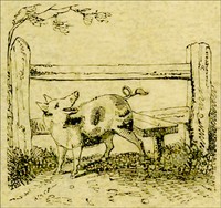Cover of The Remarkable Adventures of an Old Woman and Her Pig An Ancient Tale in a Modern Dress