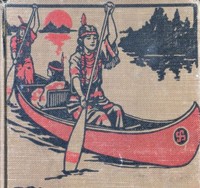 Cover of The Camp Fire Girls in the Outside World