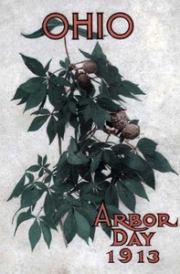 Cover of Ohio Arbor Day 1913: Arbor and Bird Day Manual Issued for the Benefit of the Schools of our State