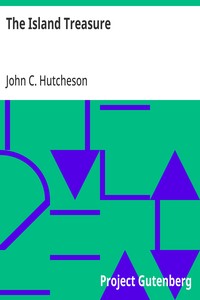 Cover of The Island Treasure