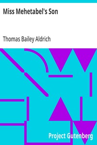 Cover of Miss Mehetabel's Son