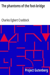 Cover of The phantoms of the foot-bridge 1895