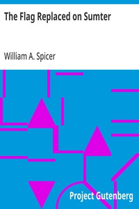 Cover of The Flag Replaced on Sumter A Personal Narrative