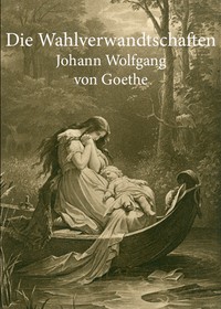 Cover of Die Wahlverwandtschaften
