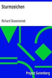 Cover of Sturmzeichen
