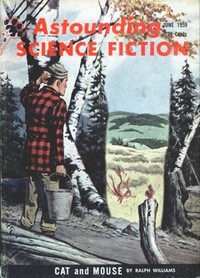 Cover of Cat and Mouse