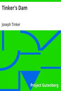 Cover of Tinker's Dam