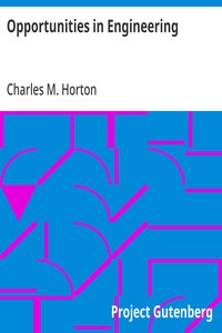 Cover of Opportunities in Engineering