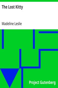 Cover of The Lost Kitty