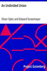 Cover of An Undivided Union
