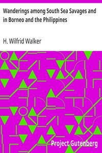 Cover of Wanderings among South Sea Savages and in Borneo and the Philippines