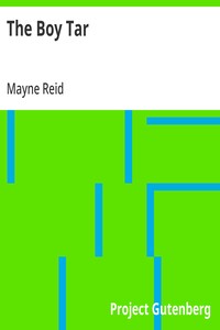 Cover of The Boy Tar