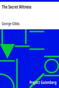 Cover of The Secret Witness
