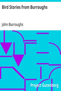 Cover of Bird Stories from Burroughs Sketches of Bird Life Taken from the Works of John Burroughs