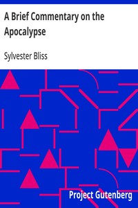 Cover of A Brief Commentary on the Apocalypse