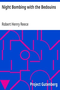 Cover of Night Bombing with the Bedouins