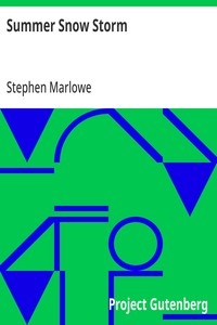 Cover of Summer Snow Storm