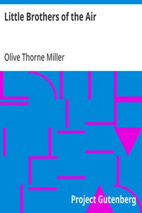 Cover of Little Brothers of the Air