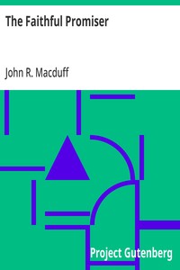 Cover of The Faithful Promiser