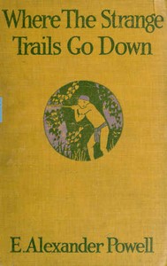 Cover of Where the strange trails go down : $b Sulu, Borneo, Celebes, Bali, Java, Sumatra, Straits Settlements, Malay States, Siam, Cambodia, Annam, Cochin-China