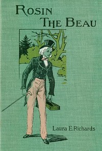 Cover of Rosin the Beau
