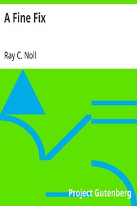 Cover of A Fine Fix