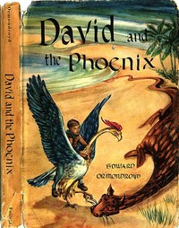 Cover of David and the Phoenix