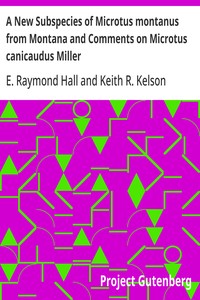 Cover of A New Subspecies of Microtus montanus from Montana and Comments on Microtus canicaudus Miller