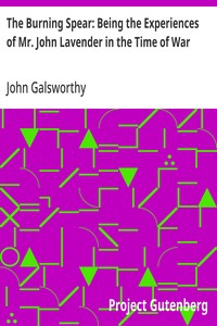 Cover of The Burning Spear: Being the Experiences of Mr. John Lavender in the Time of War