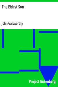 Cover of The Eldest Son