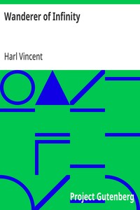 Cover of Wanderer of Infinity
