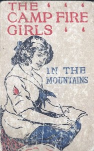 Cover of The Camp Fire Girls in the Mountains; Or, Bessie King's Strange Adventure