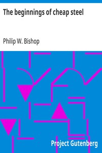 Cover of The beginnings of cheap steel
