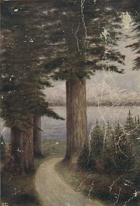 Cover of The Beauties of the State of Washington: A Book for Tourists