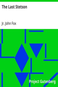 Cover of The Last Stetson