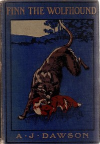 Cover of Finn the wolfhound