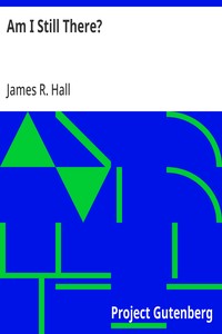 Cover of Am I Still There?