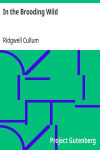 Cover of In the Brooding Wild